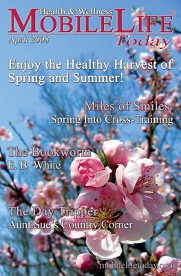 april_08_cover MobileLife Today for April 2008