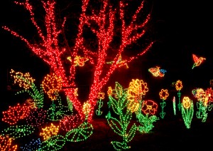 Lights Butterfly