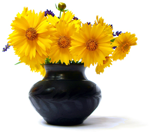 flowers-center