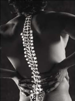 spine