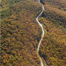 Blue Ridge Parkway, Milepost 45. Near White's Gap Overlook.