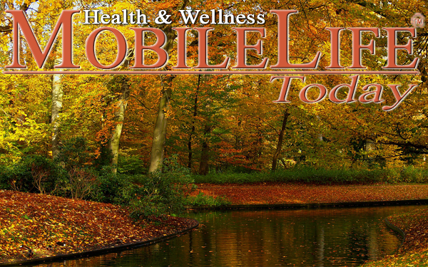 MLT November Cover