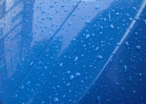 raindrops Photo: Ralph Morris