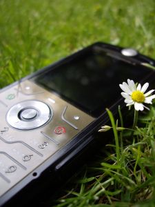 Lost Cell Phone